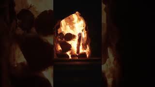 We heat the stove in a warm cozy Bushcraft Shelter #bushcraft #asmr #shelter #fireplace