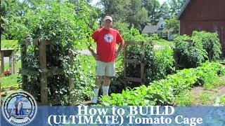 How to Build (ULTIMATE) Tomato Cage