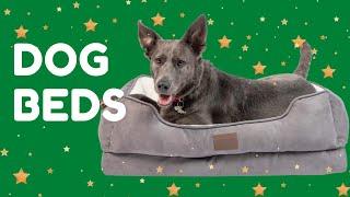 Best dog beds for small dogs review - the 5 best dog beds in 2021 review