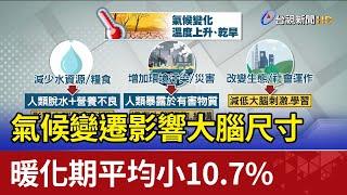 氣候變遷影響大腦尺寸！暖化期「平均小10.7%」