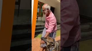 എല്ലാം ഞാൻ തന്നെ നോക്കണം |ലെ ലെയ്ക #chottu #dog #doggyzworld #doglover