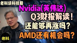 Nvidia(英伟达), 如何看待其2024年3季度的财报? AI泡沫要破灭了吗？AMD还有机会赶上英伟达吗？（老科谈科技股第241期）