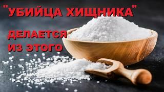 РЕЦЕПТ АТРАКТАНТА - УБИЙЦА ХИЩНИКА. SeMano TV