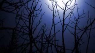 ENYA  - Shepherd Moons