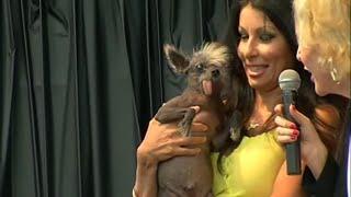 World's Ugliest Dog contest in CA accepts ruff-looking entries