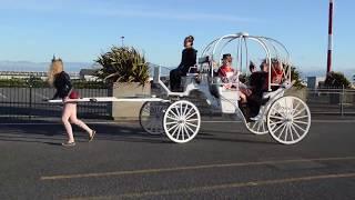 How difficult is it REALLY to pull the Victoria Carriage Tours horse wagons?