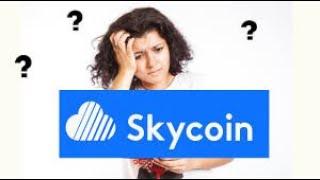 THE FUTURE OF THE INTERNET......SKYCOIN