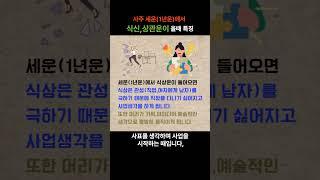 사주 세운(1년운)에서 식신,상관운이 올때 핵심특징 #사주 #shorts #1년운 #식신 #상관 #운세 #사주상담 #사주팔자