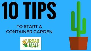 10 Tips to Start a Container Garden - UrbanMali.com