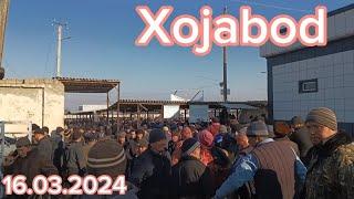 Andijon viloyati Xojabod xayvon bozori faqat sotilganlari.16.03.2024..#tezkor #xabarlar
