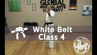 Shotokan Karate Follow Along Training Class - 9th Kyu White Belt - Class 4