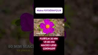 Fujifilm Makro Lens Çekimleri 30 mm macro ve 80 mm macro -Shorts  1