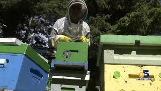 Beekeeping Alaska Style! Tim Huffman is teaching sustainable beekeeping to whoever will listen.