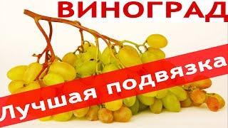 Лучшая подвязка винограда || Как Подвязывать Виноград к Шпалере?