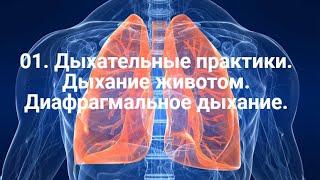 01. Дыхательные практики. Дыхание животом. Диафрагмальное дыхание.