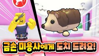 [입양하세요] 빵구들의 펫 염색하기 대결! 최고의 미용사는?