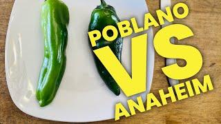 Poblano Vs. Anaheim Pepper