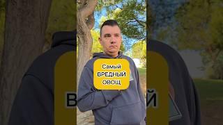 Самый вредный овощ. Не полезные овощи . Опасная еда. Питание, здоровье .
