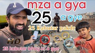 25 kabutar pakde,  a gye bhag kr mere | Zabardast ladaiyya zohan bhai ka shok |@sahilkhanvlog