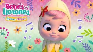  GIGABEBÉ  KARAOKE  BEBÉS LLORONES  LÁGRIMAS MÁGICAS  CANCIONES INFANTILES