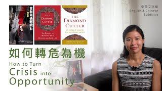 當和尚遇到鑽石 - 如何轉危為機 - 書評 - The Diamond Cutter - How to Turn Crisis into Opportunity -Book Summary