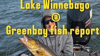 Wisconsin fish report [ Lake Winnebago @ Green bay ] 9-12-2024