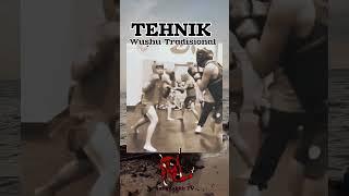 TECHNIQUES TRADITIONS WUSHU#edit #boxing #jurus #martialarts #kickboxing #phonkmusic #kangzakkirtv