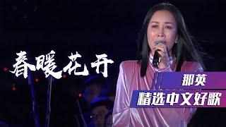 那英深情演唱《春暖花开》歌声暖人心 [精选中文好歌] | 中国音乐电视 Music TV