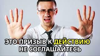 Война цен за ирландскую говядину