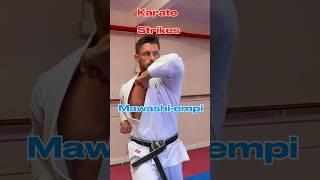 Karate Striking techniques  #shotokan #martialarts #karate