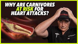 WHY ARE CARNIVORES AT RISK FOR HEART ATTACKS?