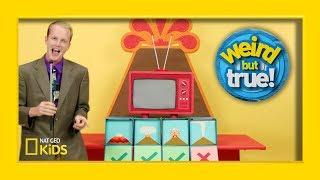 Funniest Moments on the Set of “Weird But True!” | Weirdest, Bestest, Truest