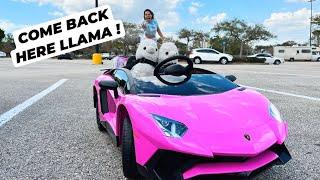 MY LLAMAS RAN AWAY !! | OPENING UP REAL LITTLES BACKPACKS !!