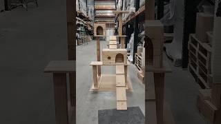 Triple Decker Cat Tree! #shorts #cats #catlover