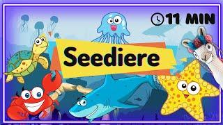 Seediere vir kleuters / Alfabet letters en klanke / Lami  #Afrikaans #Kinders