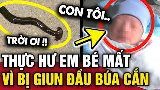 Xôn xao thông tin bị GIUN ĐẦU BÚA cắn vào tay, bé 5 tháng tuổi RA ĐI MÃI MÃI và sự thật | Tin 3 Phút