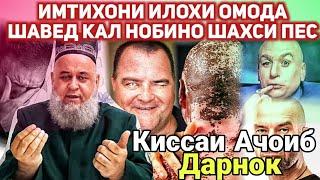 Имтихони Аллоха Бинед  Хайрон Шуд Хочи Мирзо | Пес Кал Кур Ачоиб Кисса