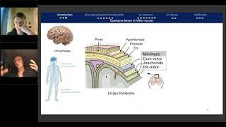 Sciences Cognitives - Cours 2 (07/10/20) - Neurosciences : de la cellule au comportement