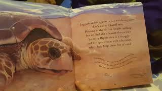 One Tiny Turtle (kids books) read out loud