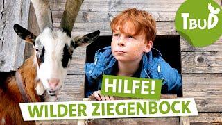 Wer zuletzt lacht (Folge 122) | Tiere bis unters Dach