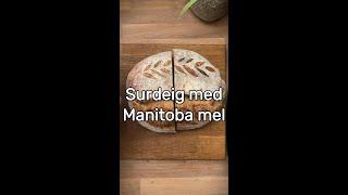 Surdeigsbrød med Manitoba mel