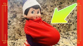 ELF IS PREGNANT WITH TRIPLETS!