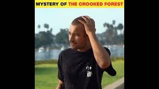 Mystery of the Crooked Forest poland || Amazing facts || G2 FACTS || #shorts #facts #G2FACTS