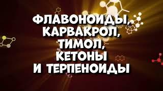 Всего 1 капля в день Очистит, от Слизи, Вирусов, Грибков, Паразитов, Уничтожает рак!