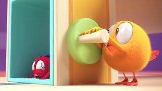 Chicky's elevator | Where's Chicky? | Cartoon Collection in English for Kids | New episodes HD