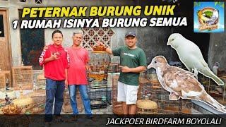 VLOG PETERNAK‼️BANYAK BURUNG UNIK LANCAR BANGET TERNAKNYA DI JACKPOER BF BOYOLALI