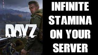 How To Enable Infinite Sprint, Jumping & Fighting Stamina On DayZ Community Server, PC, Console 1.19