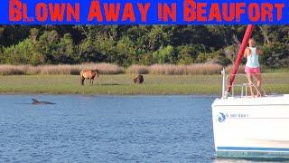 151: Blown Away in Beaufort, NC: Taylor’s Creek Anchorage and Animal Life