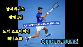 [신발리뷰]아식스 COURT FF NOVAK 초패스트 언박싱 #조코비치