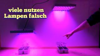 how to use plant lamps correctly for maximum growth (at the same electricity costs)